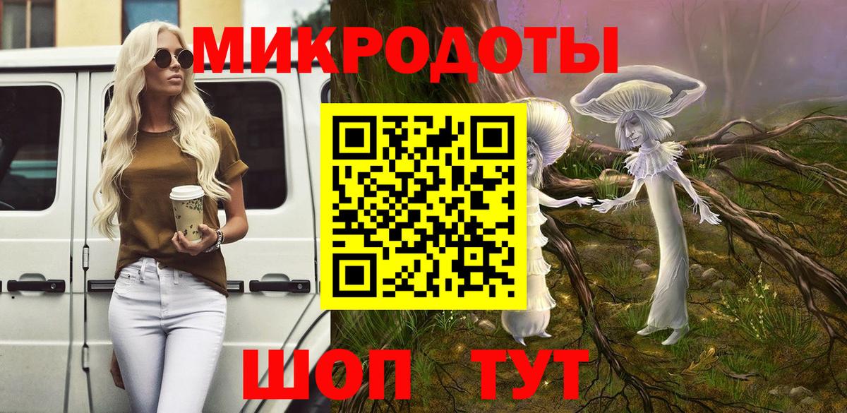 Псилоцибиновые грибы Psilocybe Лениногорск