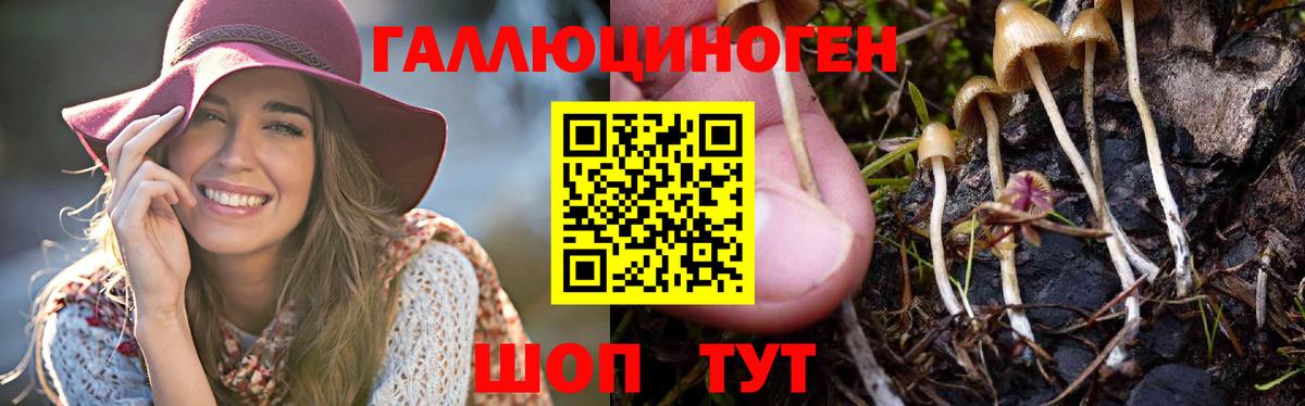 Галлюциногенные грибы мухоморы  продажа наркотиков  Вход с VPN  Лениногорск  Псилоцибиновые грибы Cubensis 